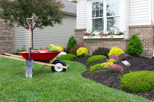 Landscape maintenance and plant care