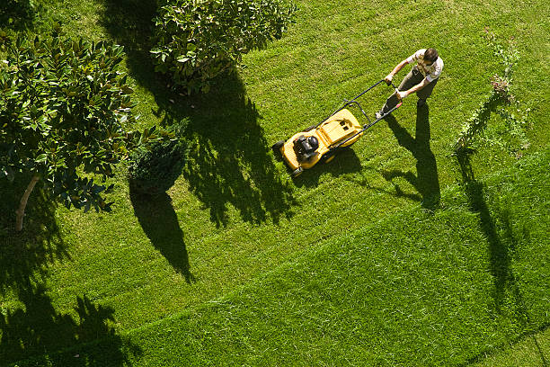 Professional gardening team providing landscape care